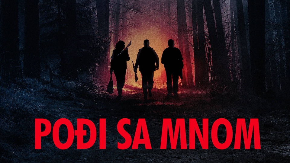 60 american movies from year 2015 online
