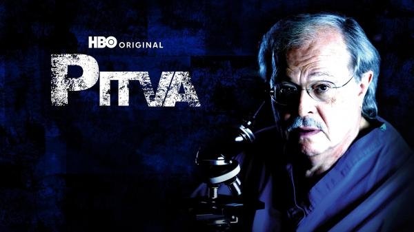 Pitva