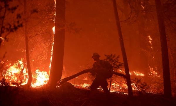 Cal Fire