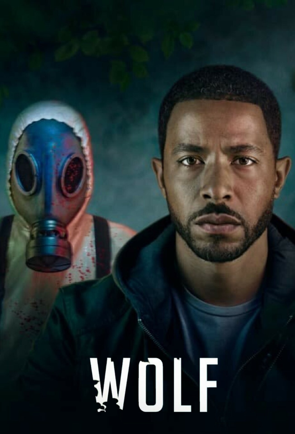 Серія Wolf