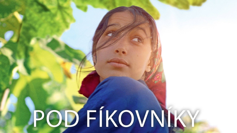 Film Pod fíkovníky
