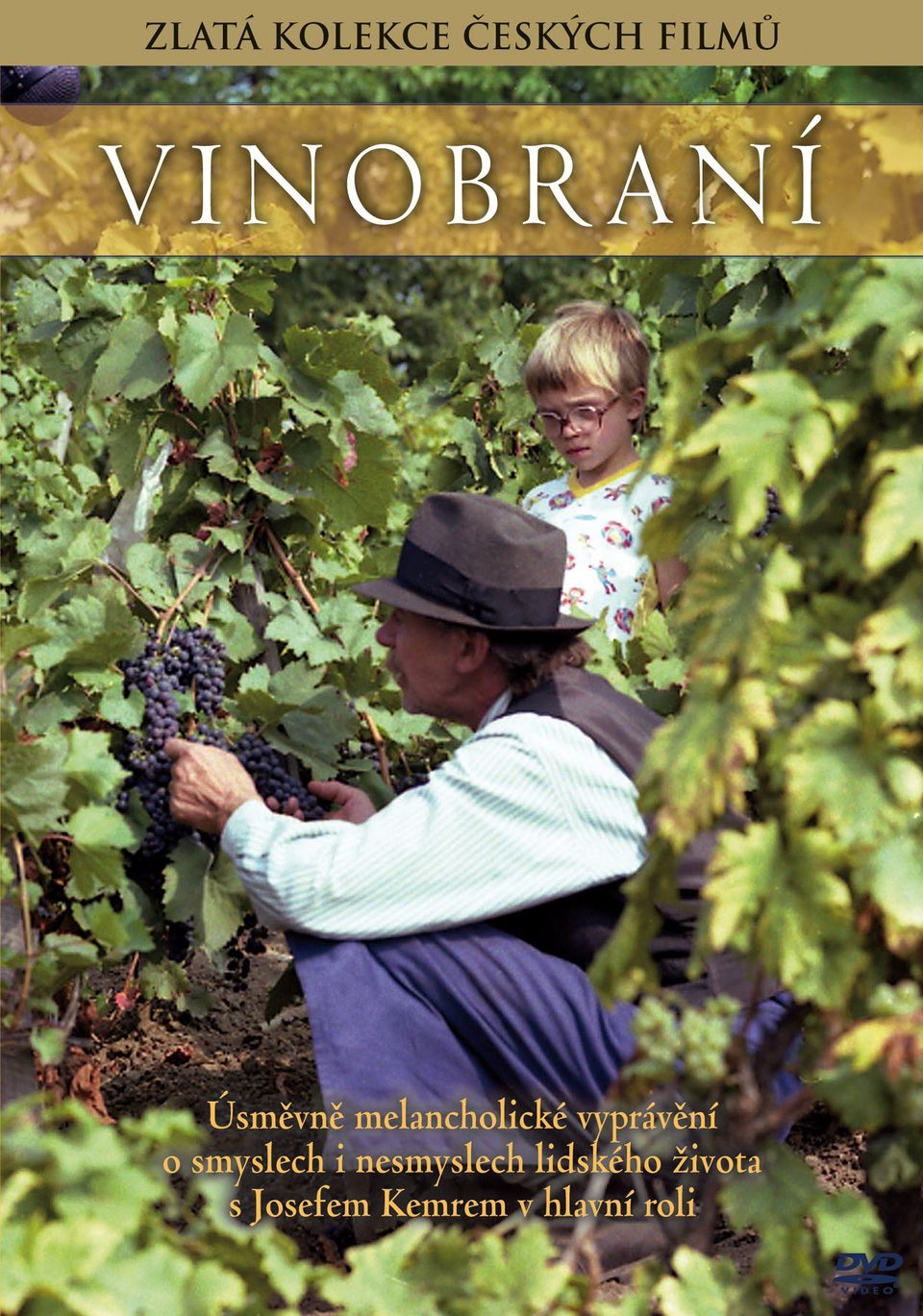 Film Vinobraní