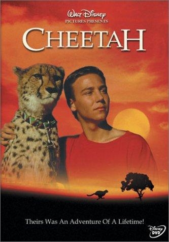 Gepard, cena szybkości