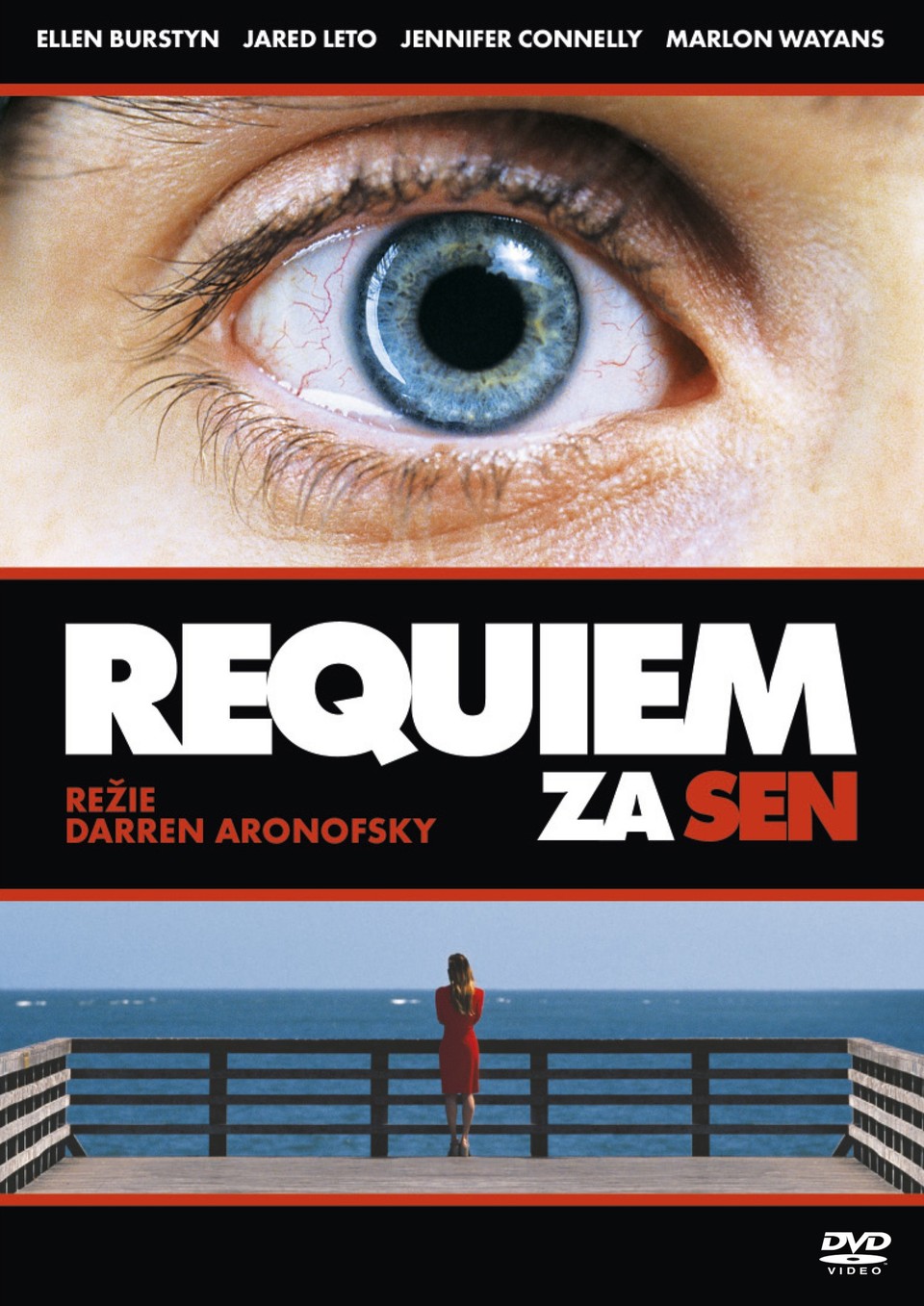 Film Requiem za sen