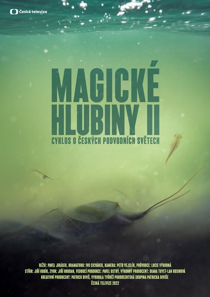 Документ Magick