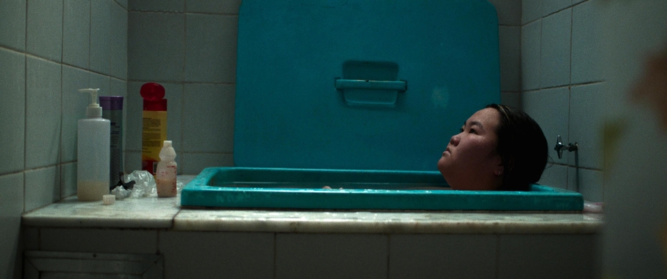 The best brazilian new movies from year 2024 online