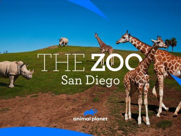 Zoo: San Diego