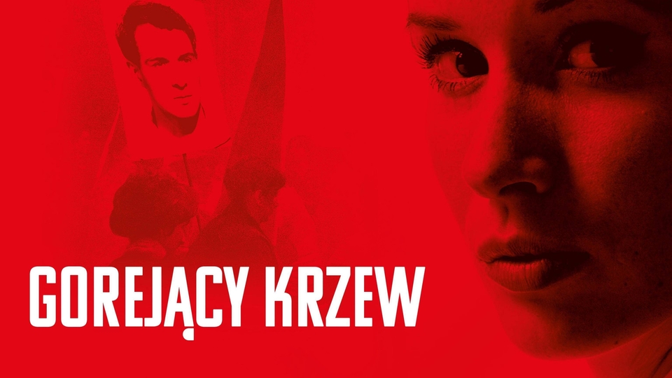 Serial Hořící keř