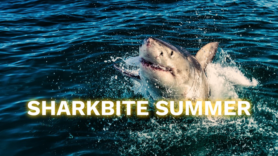 Film Sharkbite Summer
