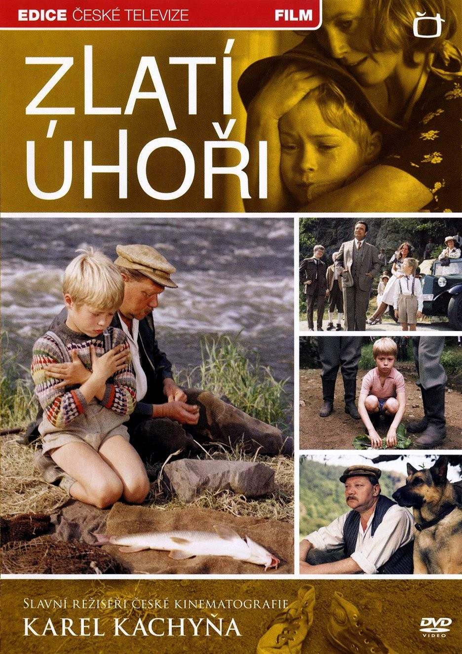 Film Zlatí úhoři