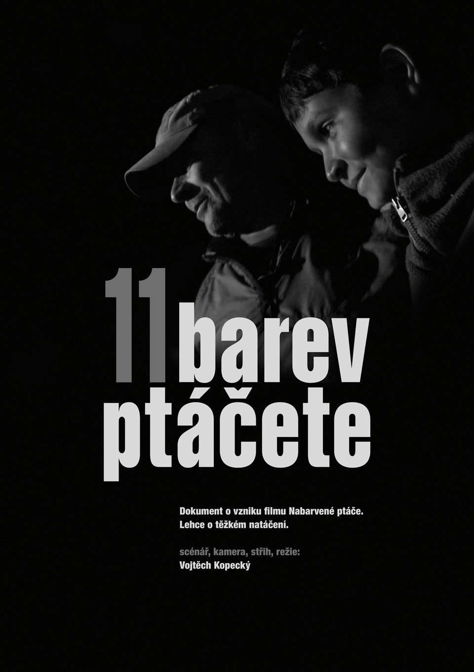 Dokument 11 barev ptáčete