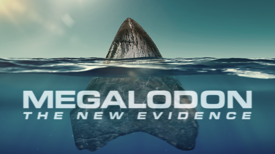 Dokument Megalodon: nové důkazy