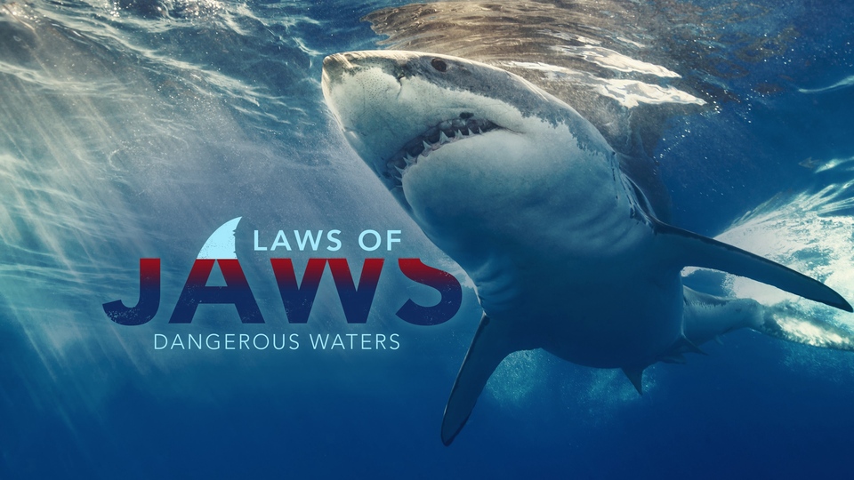Film Laws of Jaws: Dangerous Waters