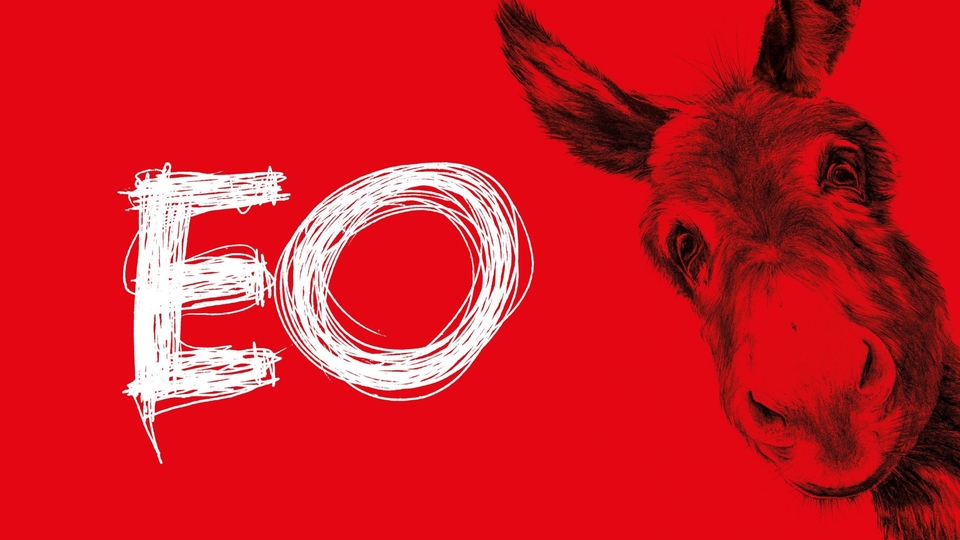 The best polish new oscar films and the czech lion from year 2023 online