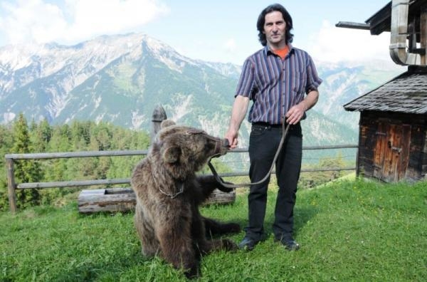 Der Bär ist los! Die Geschichte von Bruno