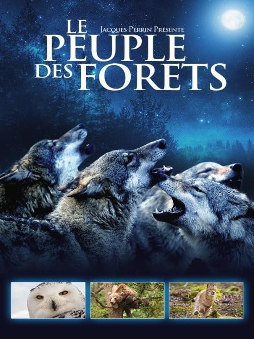 Documentary Království lesa