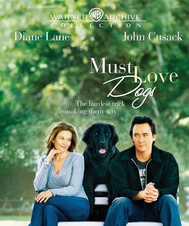 The best american comedies from year 2005 online