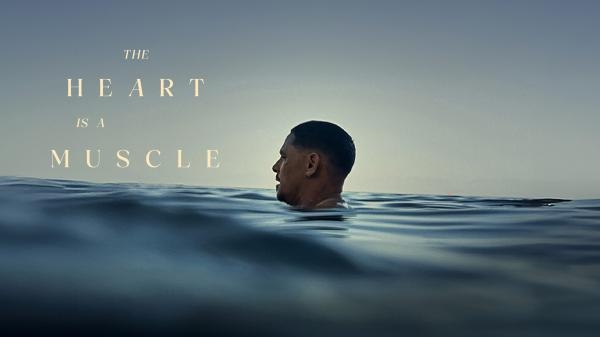 The Heart Is a Muscle