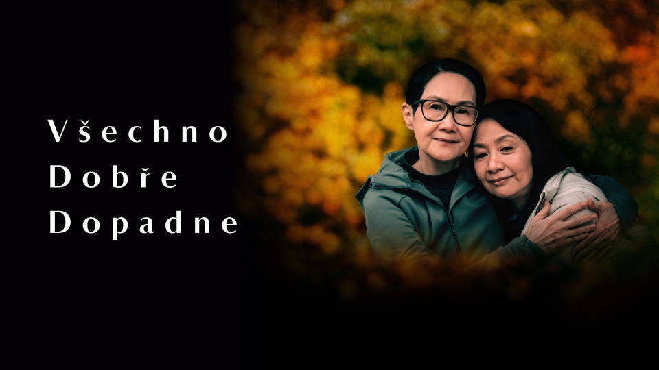 Film Všechno dobře dopadne