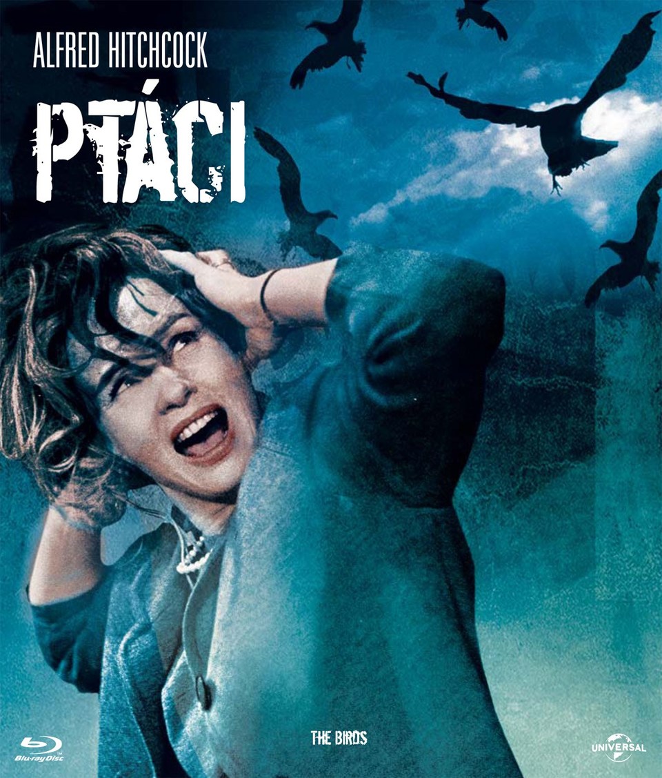 Film Vtáci