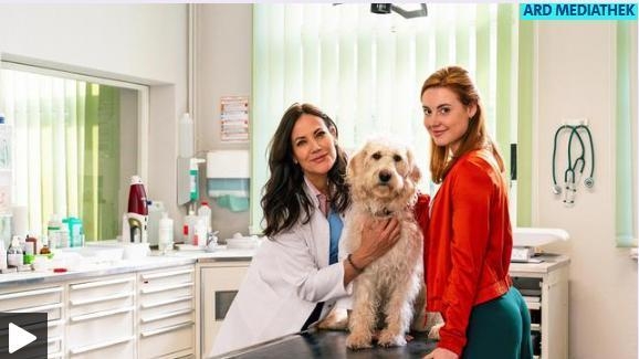 Dwie kobiety na wszelkie bóle - Nowy początek