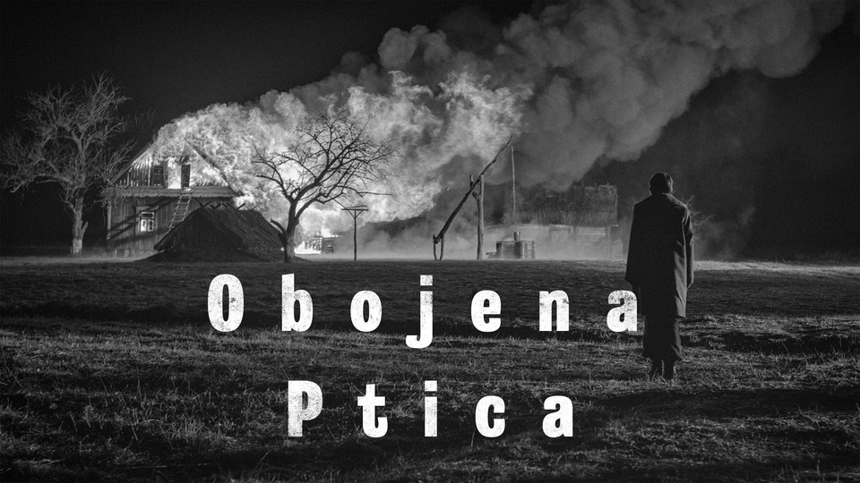Film Nabarvené ptáče