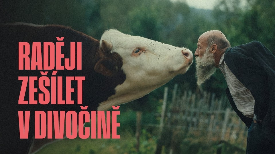 Najlepšie slovenské dráma online