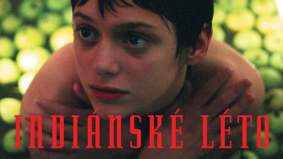 Najlepšie české komédie z roku 1993 online