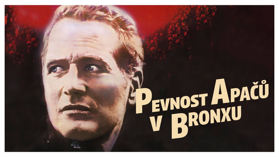 Film Pevnost Apačů v&nbsp;Bronxu