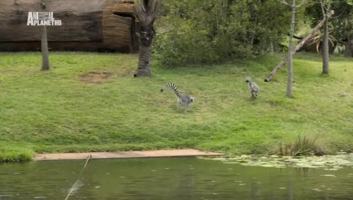 Discovery Channel