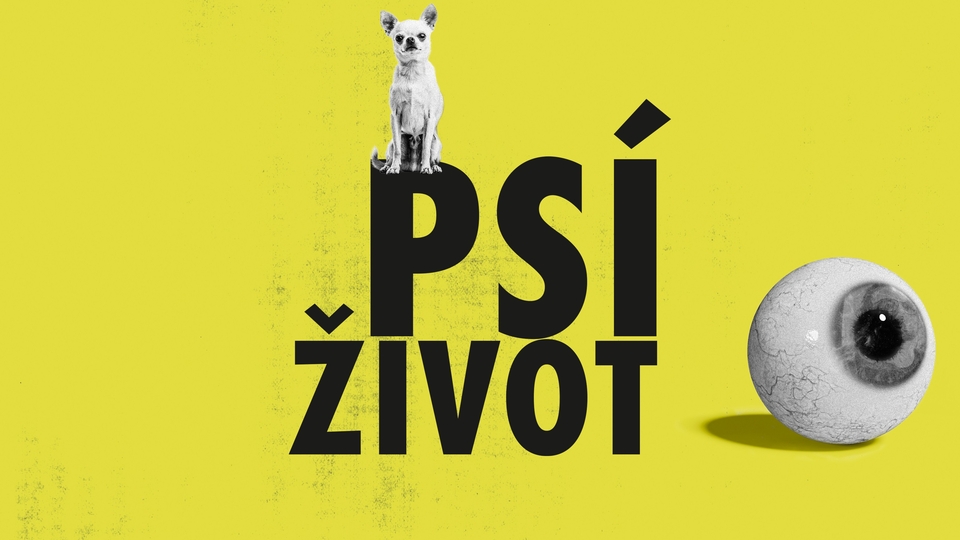Najlepšie belgické nové komédie z roku 2024 online