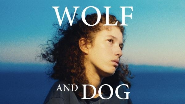 Lobo e C&atilde;o