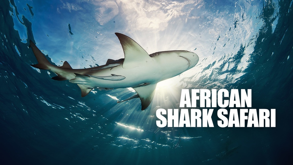 Documentary African Shark Safari