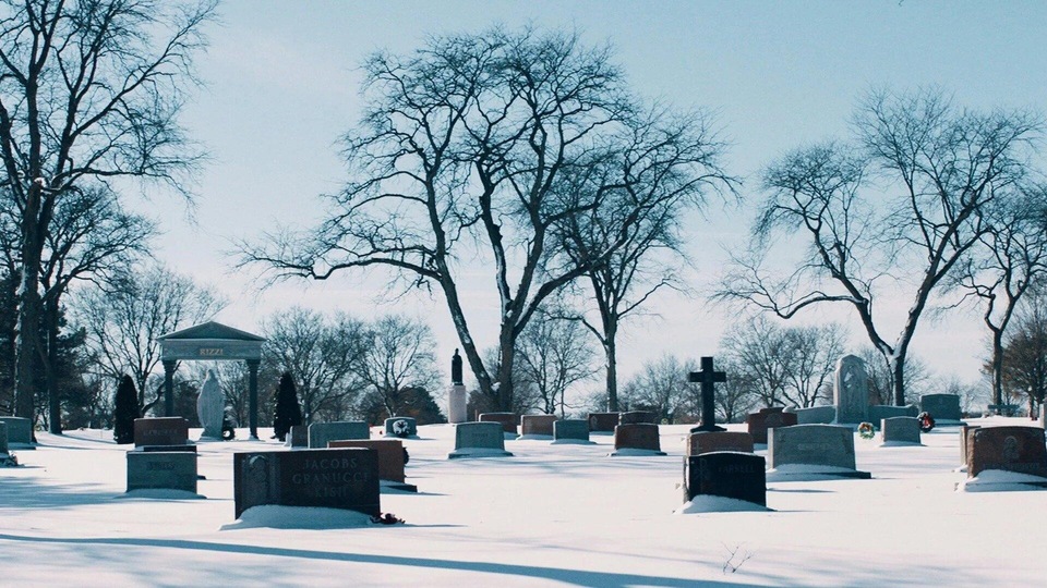 The best american biographic documentaries from year 2021 online