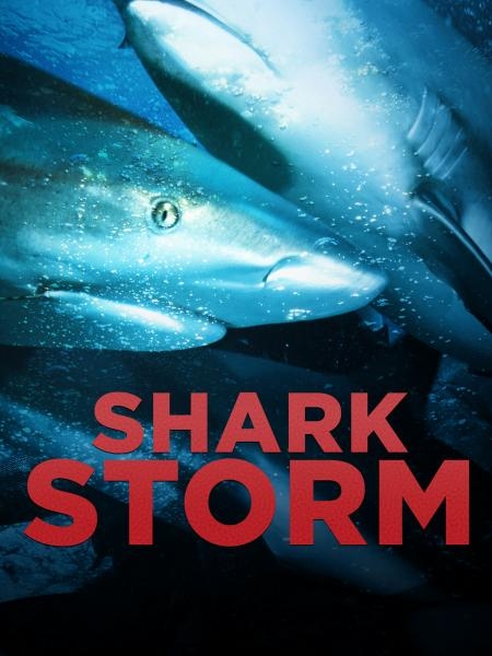Shark Storm
