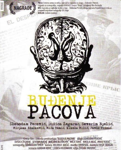 Buđenje pacova