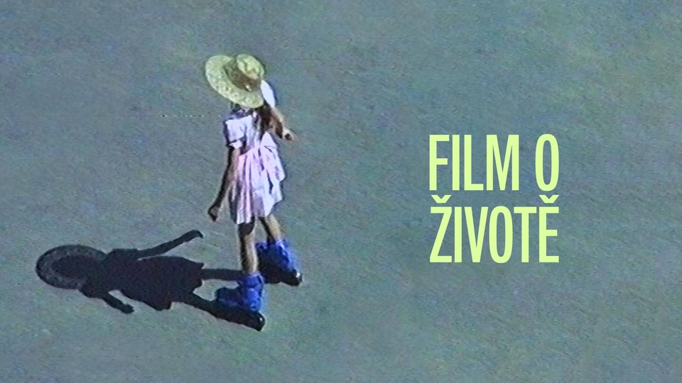 Film Film o&nbsp;životě