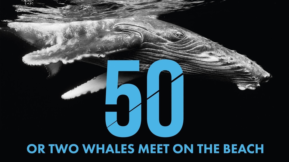 Film 50 or Two Whales Meet on the Beach