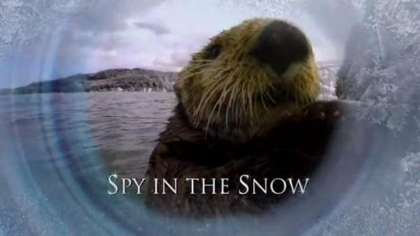 Spy in the Snow