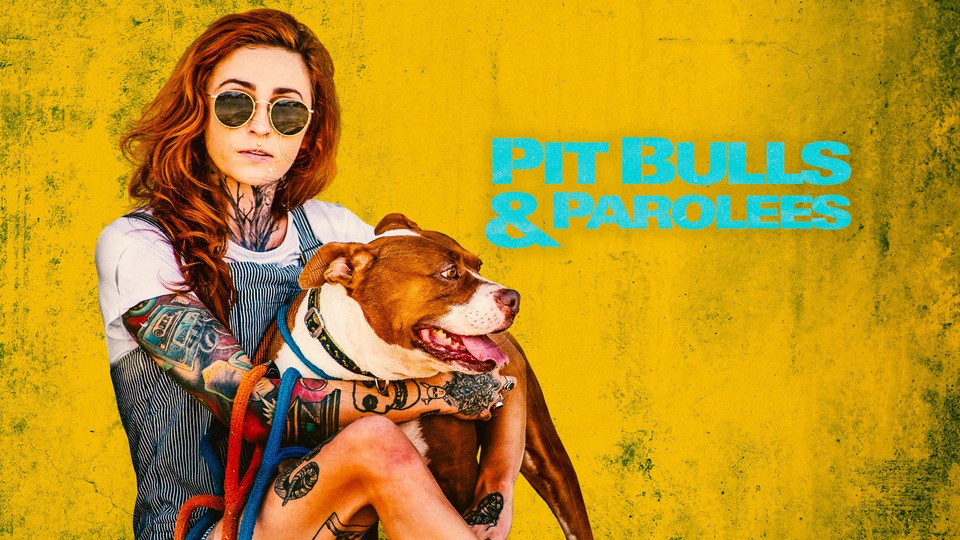 The best american télé réalité from year 2016 online