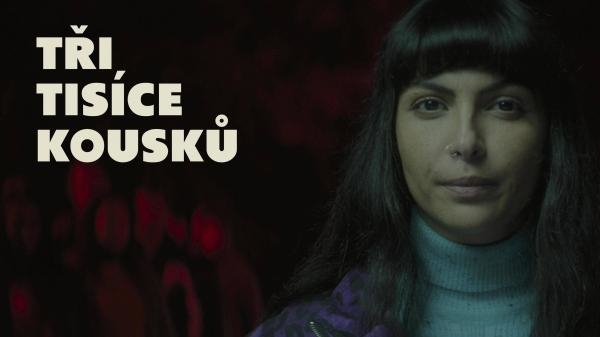 Tři tisíce kousků