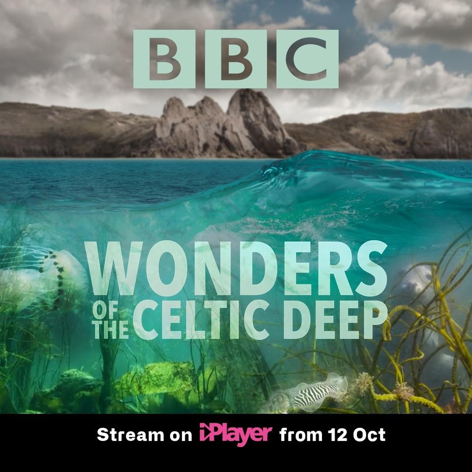 Документ Wonders of the Celtic Deep
