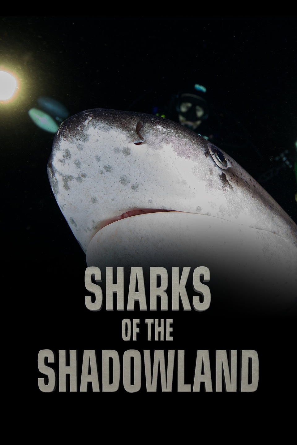 Документ Sharks of the Shadowland
