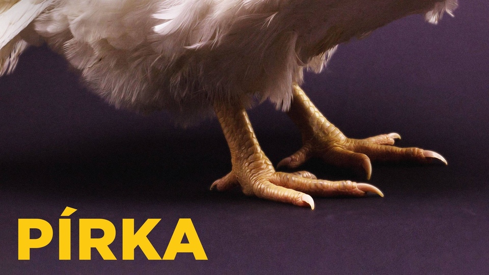 Film Pírka