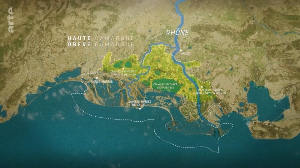 Документ Camargue