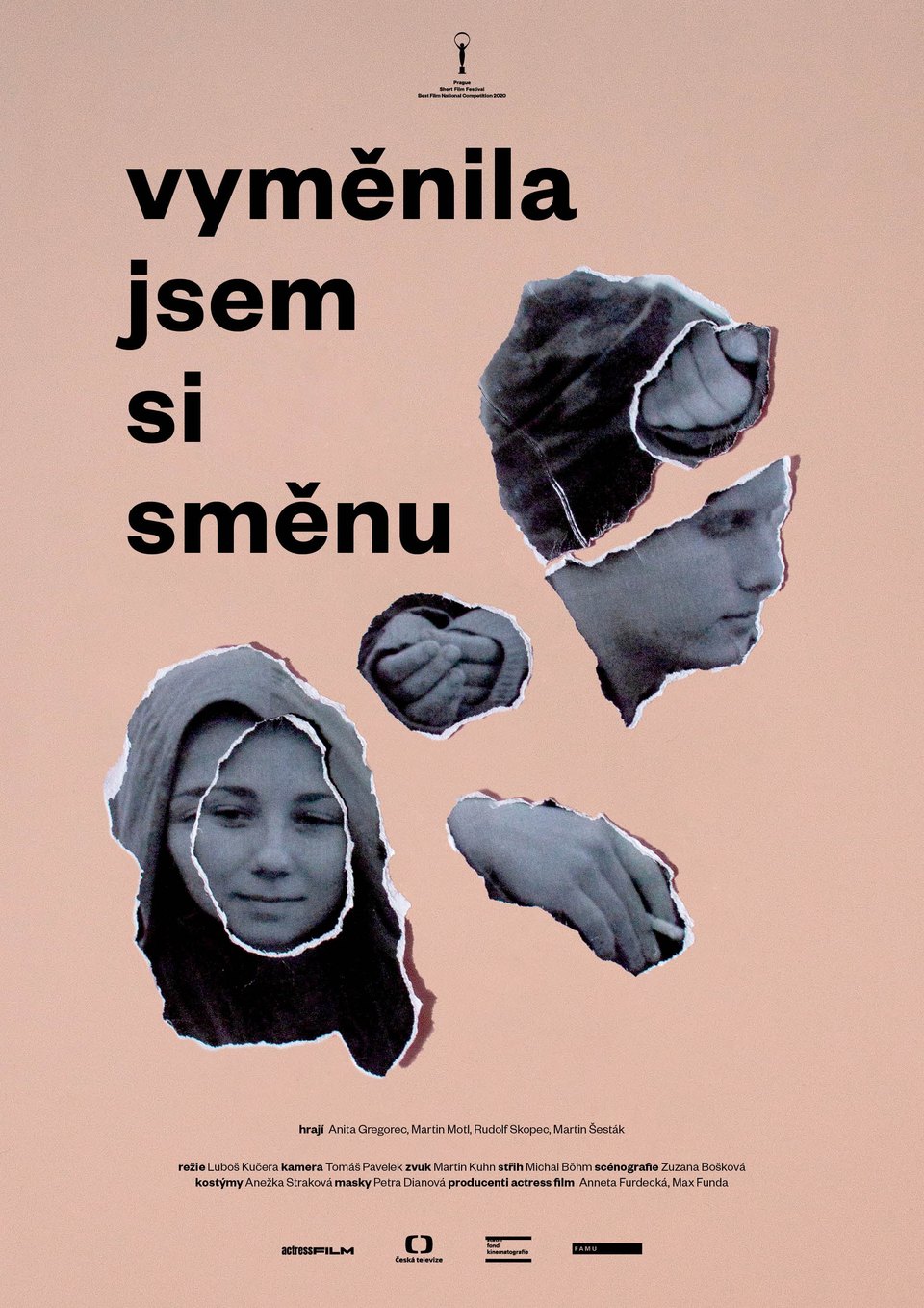 Film Vyměnila jsem si směnu