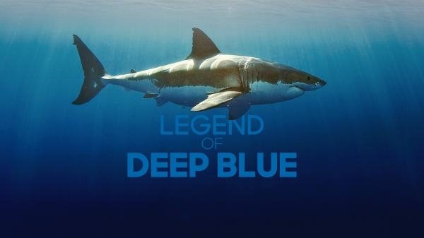 Legenda o žralokovi Deep Blue