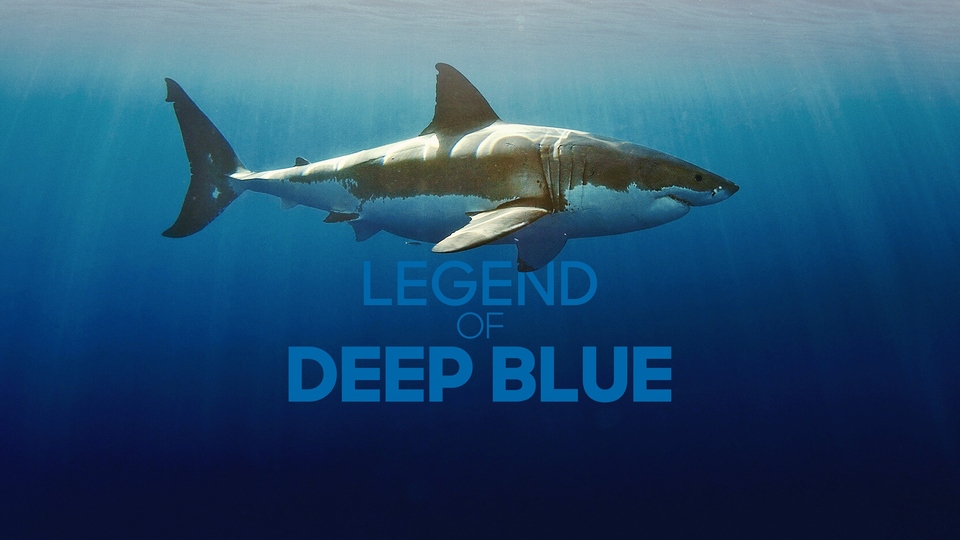 Dokument Legenda o&nbsp;žralokovi Deep Blue