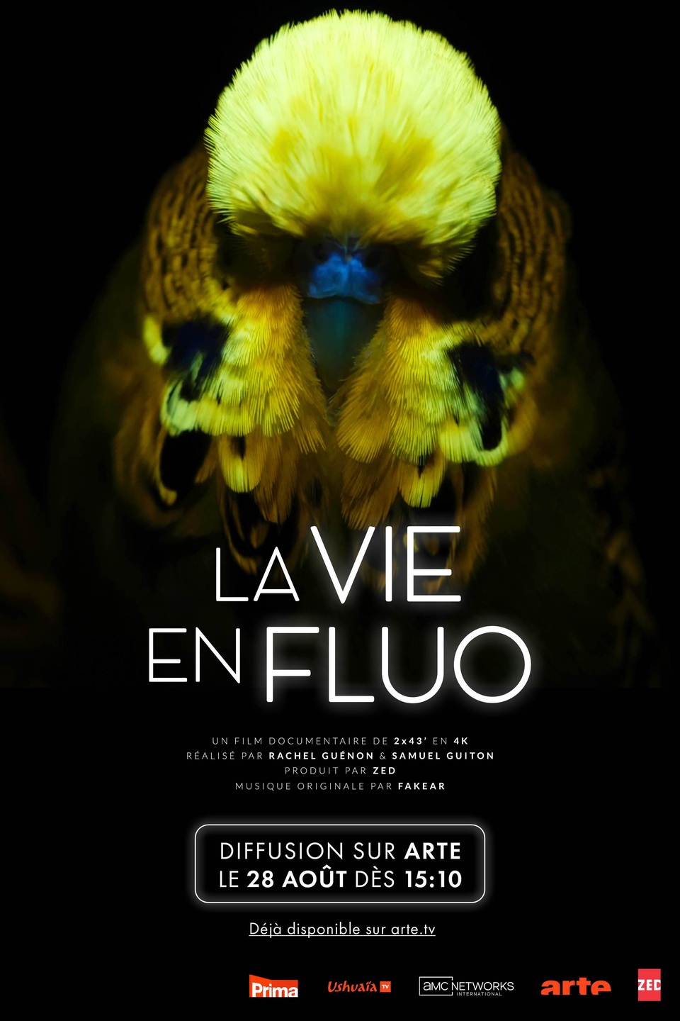 Dokument Fluorescence: Přírodní superschopnost