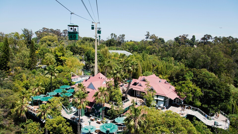 Dokument Zoo: San Diego